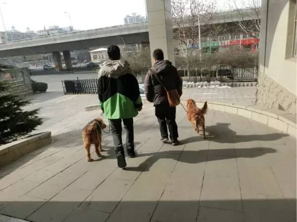 清迈拜县自驾旅游攻略最新,泰国到清迈自驾游最佳路线