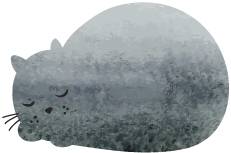 我在日喀则,我在日喀则简谱