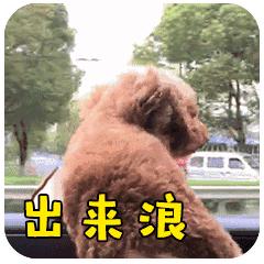 东莞驾考新规是不是真的,2020年东莞驾考几号恢复