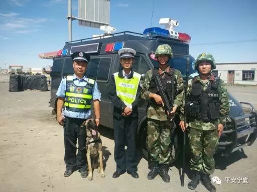 瀹佸鐙楅槦,瀹佸鐙楃嫍澶ч槦