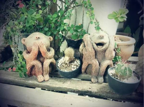 清迈拜县自驾旅游攻略最新,泰国到清迈自驾游最佳路线