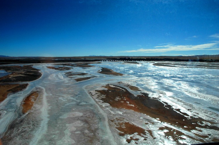 长江的各种濒危物种,长江生物多样性现状