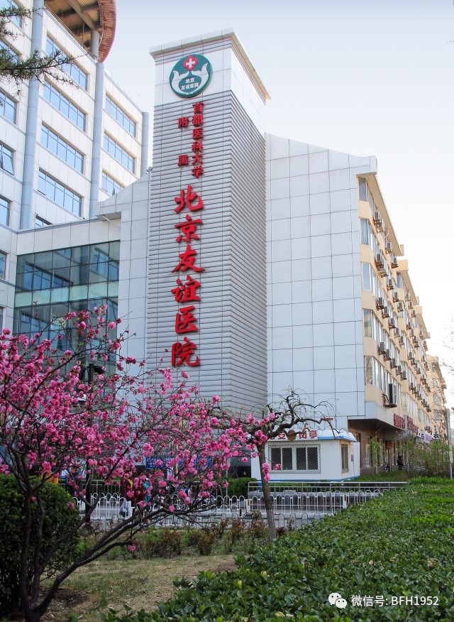 北京友谊医院儿童泌尿结石,北京友谊医院泌尿科肾结石