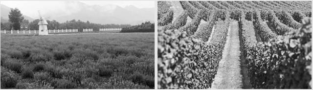 抹上这个眼霜，立刻感觉眼部皮肤被拉平、提亮了！