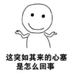 杭州车牌摇号不通过的理由,杭州车摇不到号怎么办