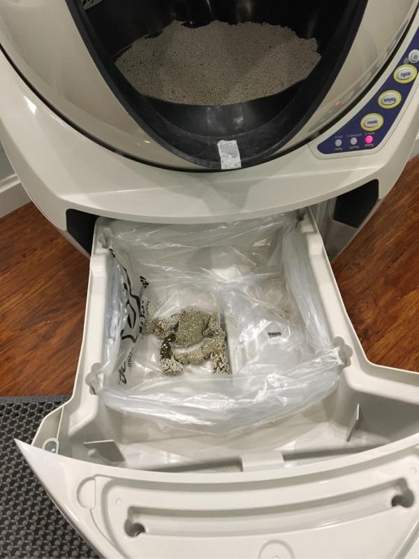 「猫爸百科」喵主子看你上厕所，我想你们是拒绝的！