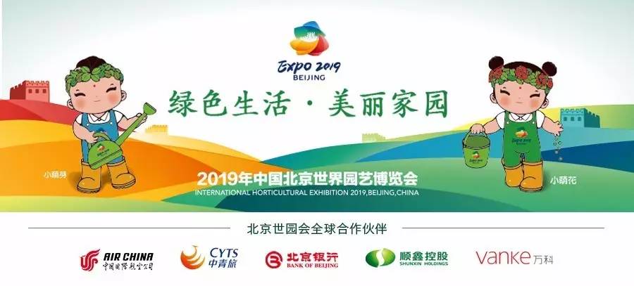 记忆里的花儿歌曲视频,记忆里的花和眼前的花