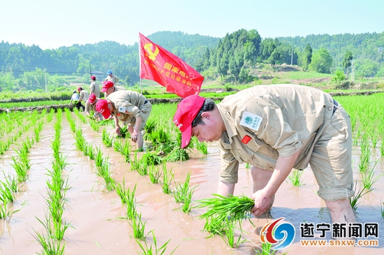 全民参与创文以尽锐出战,志愿服务活动共创全国文明城市
