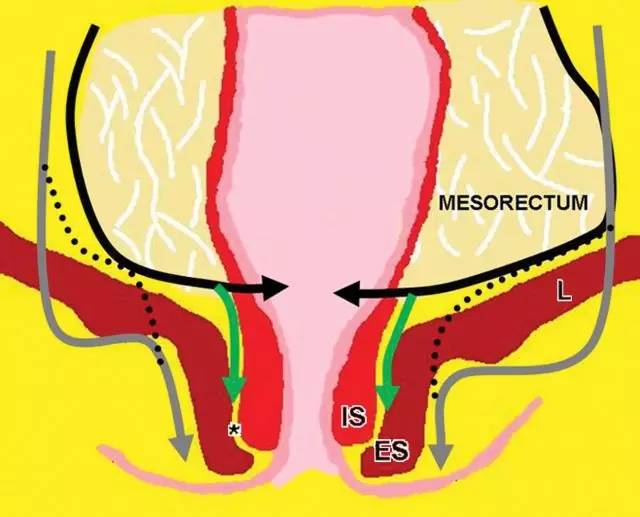 记住一个单词的一般方法,记住癌症九字诀
