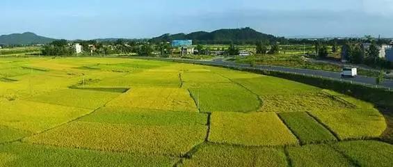 东北五花山旅游,五花山风景区