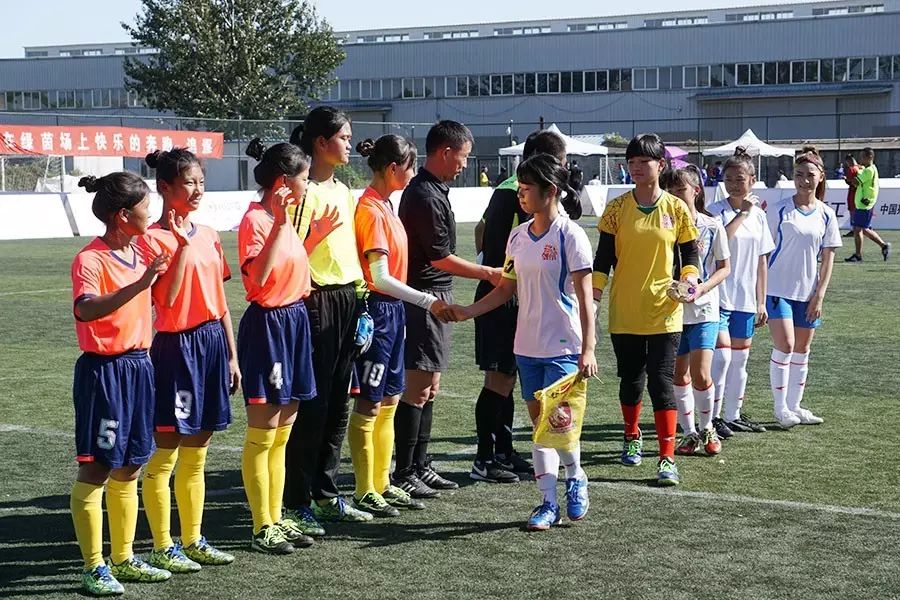 日本主帅冈田武史,冈田武史执教中国足球