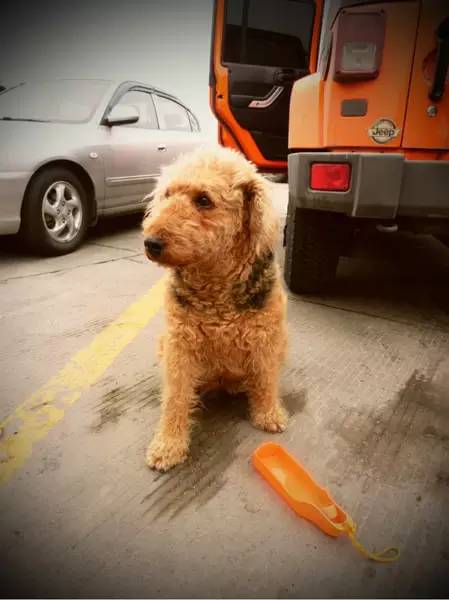 清迈拜县自驾旅游攻略最新,泰国到清迈自驾游最佳路线