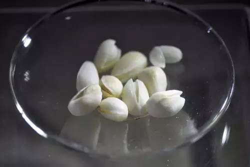 象牙果工艺品好吗,雕刻艺术果雕