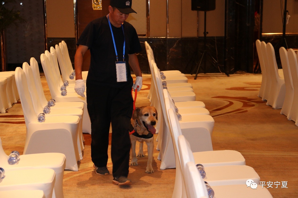 瀹佸鐙楅槦,瀹佸鐙楃嫍澶ч槦