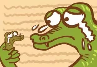 科学家证实猫是液体,科学家证明猫是液体吗