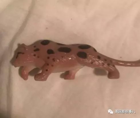 家中发现老鼠洞该怎么解决,如果你在家里发现了老鼠该怎么办