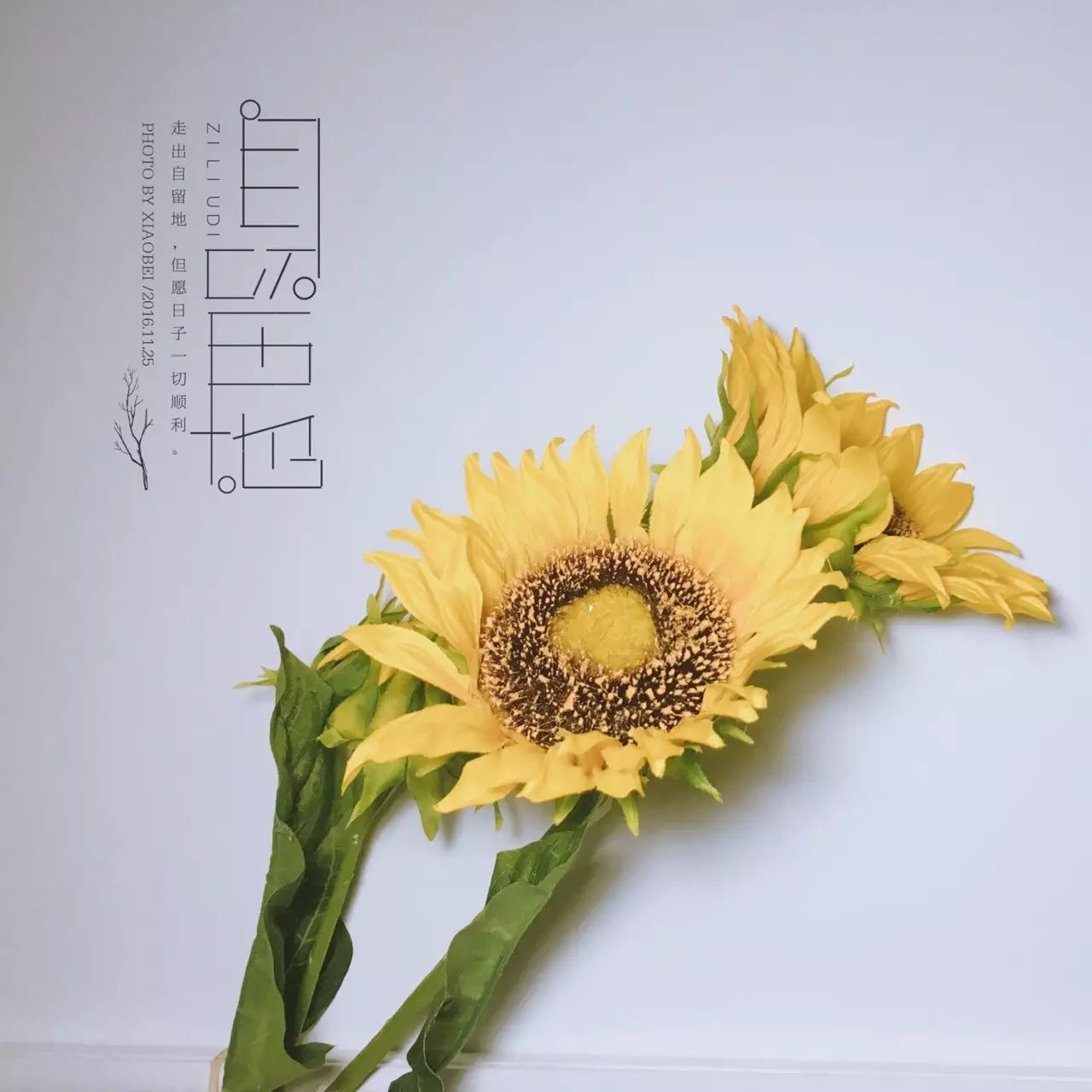 在淘宝上有什么好买的,在淘宝上买的很实惠的东西