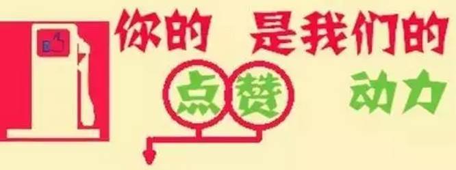 「青粉福利」从公司副总到卖网红“红糖馒头”，只为找到回家的感觉！