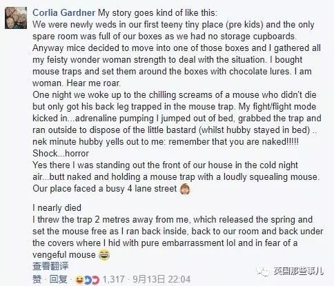 家中发现老鼠洞该怎么解决,如果你在家里发现了老鼠该怎么办