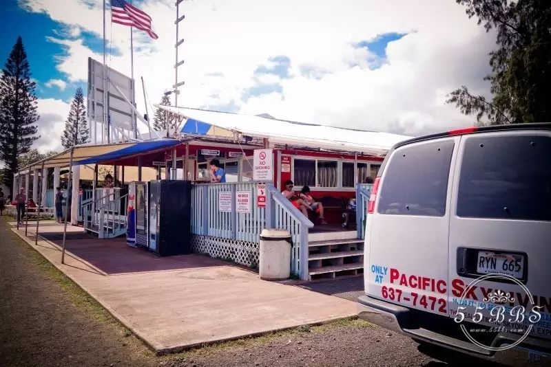 大胆去爱去感受世界,大胆去爱完整版