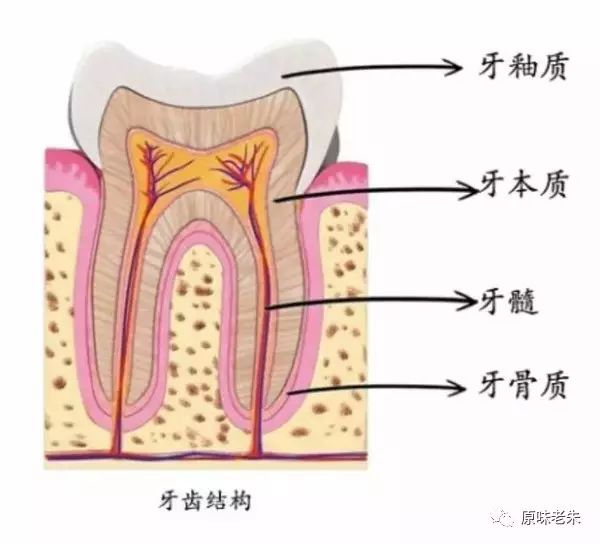 920爱牙日·牙齿酸软请心疼自己，80%的解决办法都在这里了，请自取