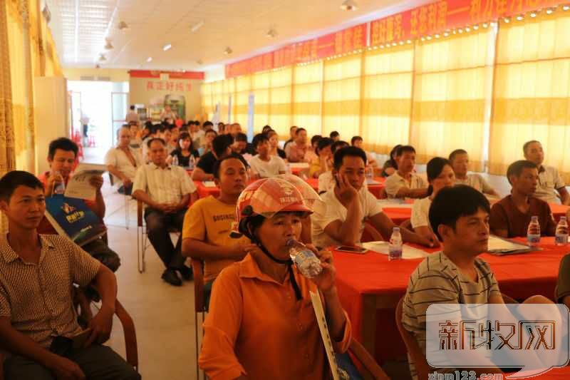 腹泻预防脱水喝什么,后备母猪需要打腹泻疫苗吗