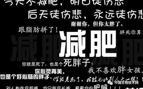 减肥贴的正确方式,减肥要贴什么穴位