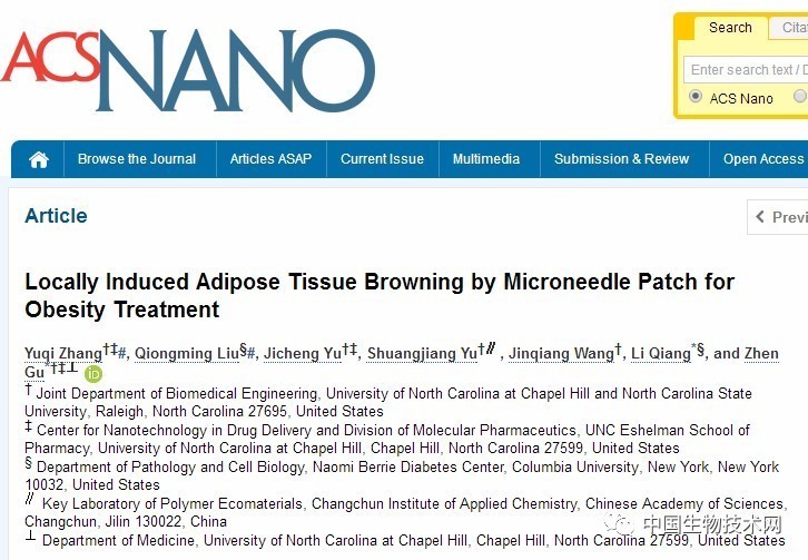 减肥贴的正确方式,减肥要贴什么穴位