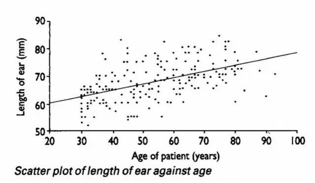 诺贝尔搞笑奖猫咪,搞笑诺贝尔奖猫咪
