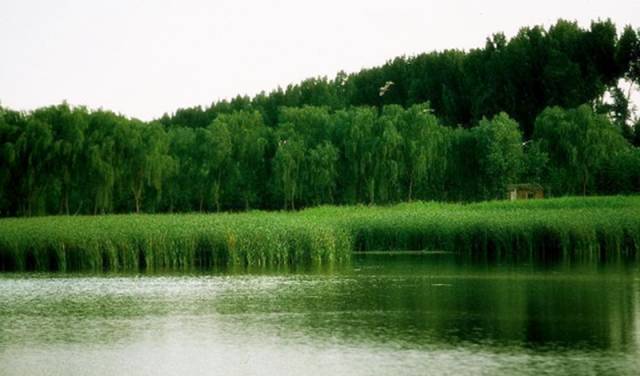 北京最好的草原湿地公园,北京的湿地公园都有哪些