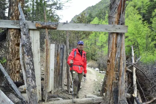 你走过最美的路，是这36位为你筛选的