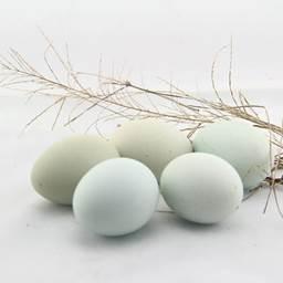 小丫厨房美食全部视频,小丫厨房小妙招