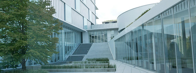 一通电话故事,一通电话引发的故事