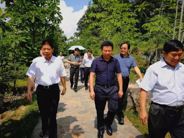 贡乡贡品展览会,工博会