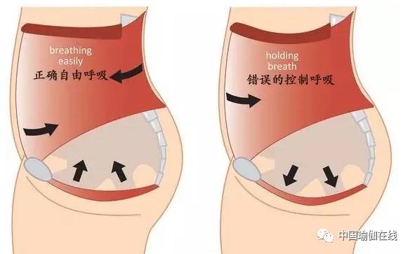 怎样找到你的盆底肌 (如何拥有一个强壮的盆底肌)