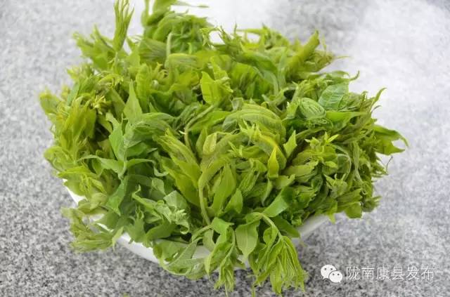 「相约康县」山水间歌声回荡，烟波里久违的故乡