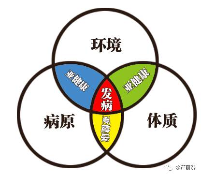 水产养殖寄生虫防治诀窍,水产寄生虫的治疗诀窍