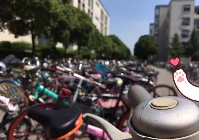 江南大学共享电动车,ofo小黄车免费