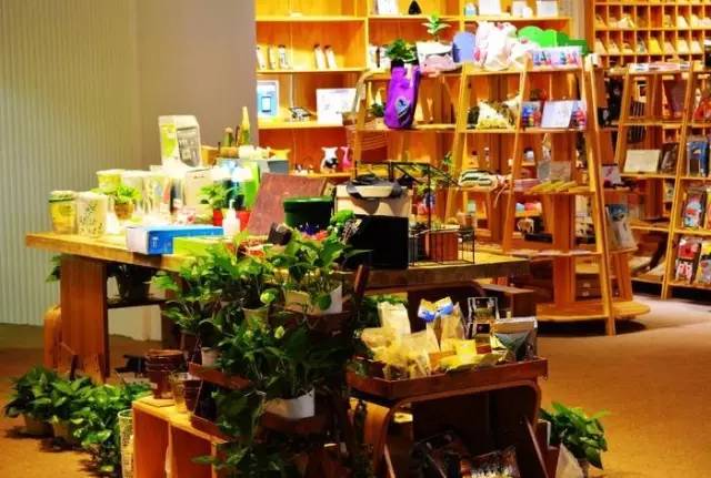 乐游｜国庆不出门的，来沈阳这些最美看书圣地，装文艺，玩自拍，看猫咪……都能满足你~