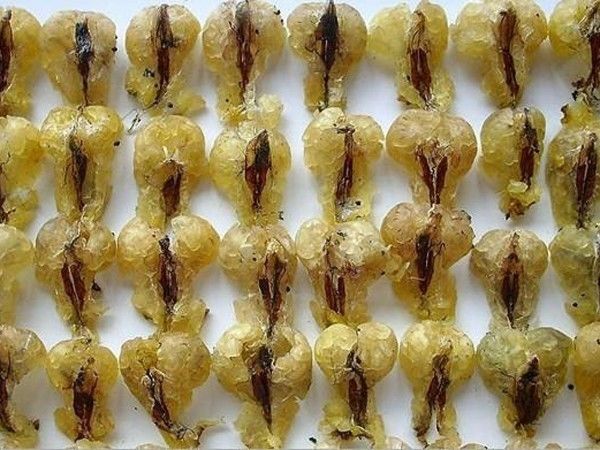 延边特产适合送人的食品,延边值得买的东西清单