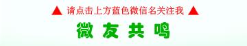 福建省足球省赛冠军,福建省足球比赛冠军