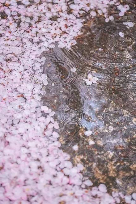 养生音乐56首免费下载,失传已久的56首养生曲视频