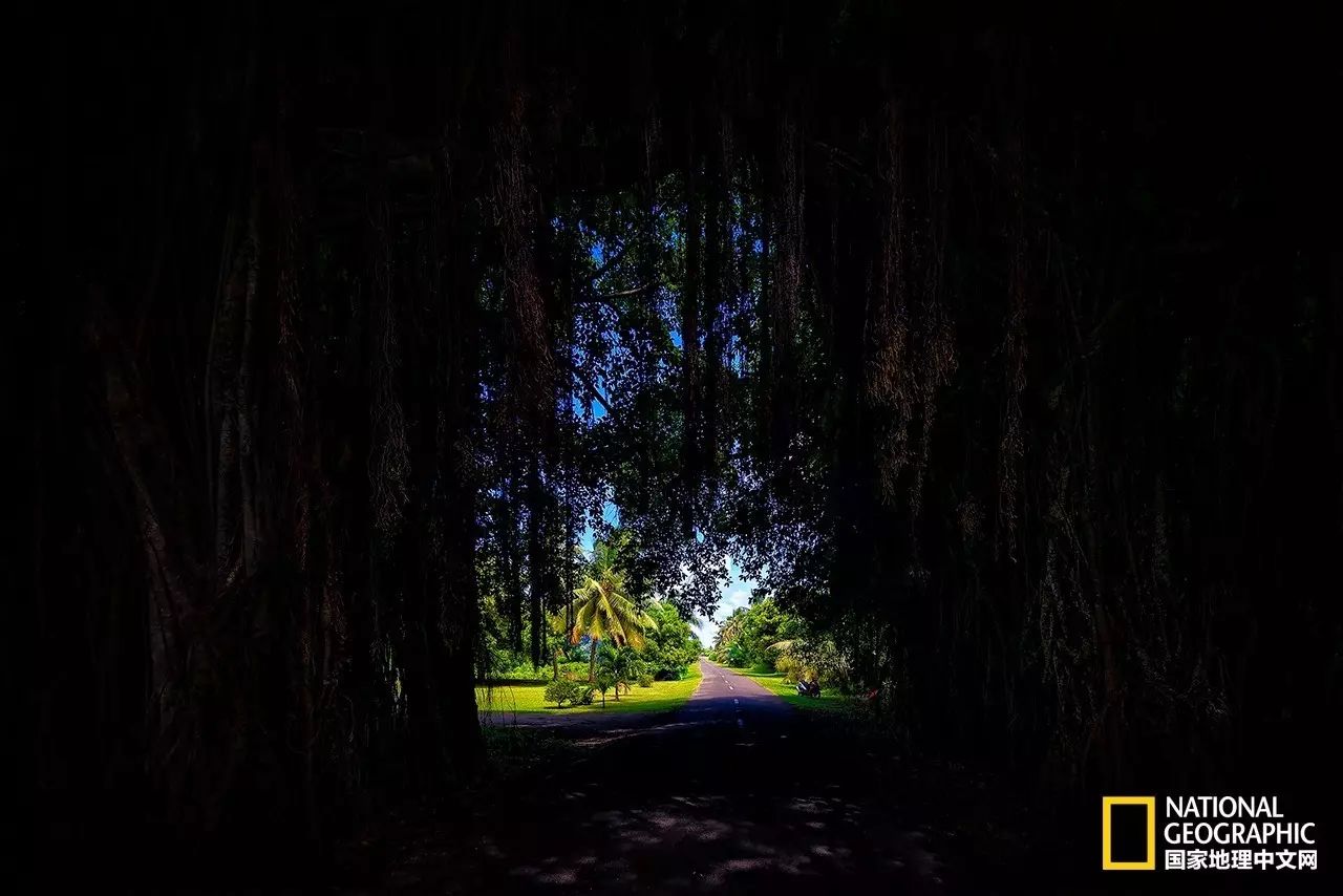 库克群岛的风光,走进库克群岛