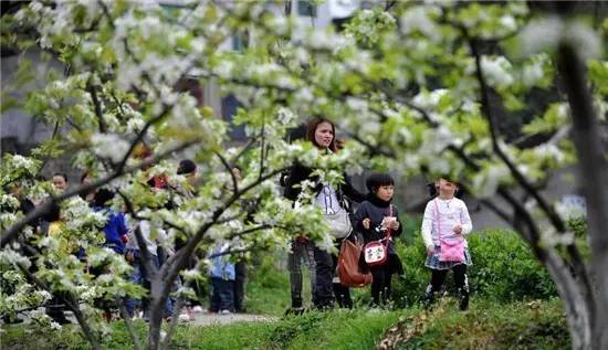 贡乡贡品展览会,工博会