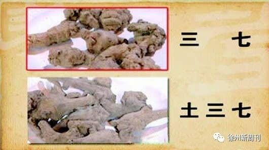 土三七也能吃吗,药店卖的三七是真三七还是土三七