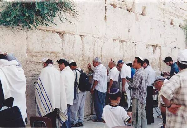 不止眼前的苟且还有远方的苟且,生活不止眼前的苟且还有远方英文