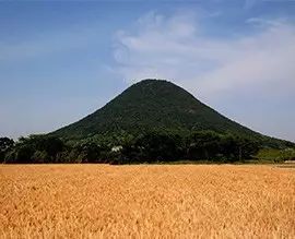 开原美食乌冬,台东美食乌冬