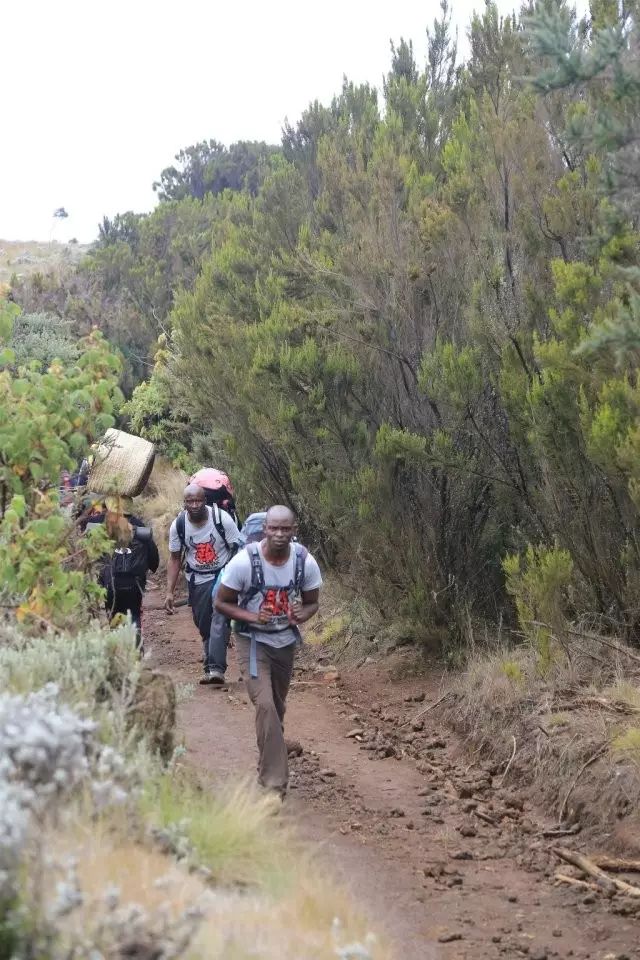 BLACKYAK牛人牛队｜登顶“非洲之巅”