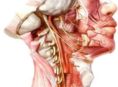 全国爱牙日有活动吗,全国爱牙日医生建议