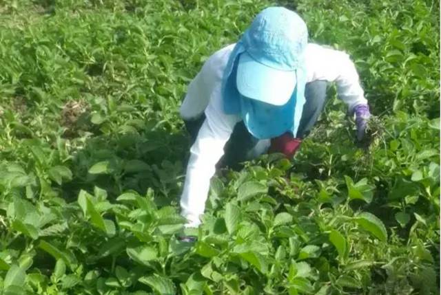 推荐一款超好用的牙膏,一款又好看又好用的牙膏